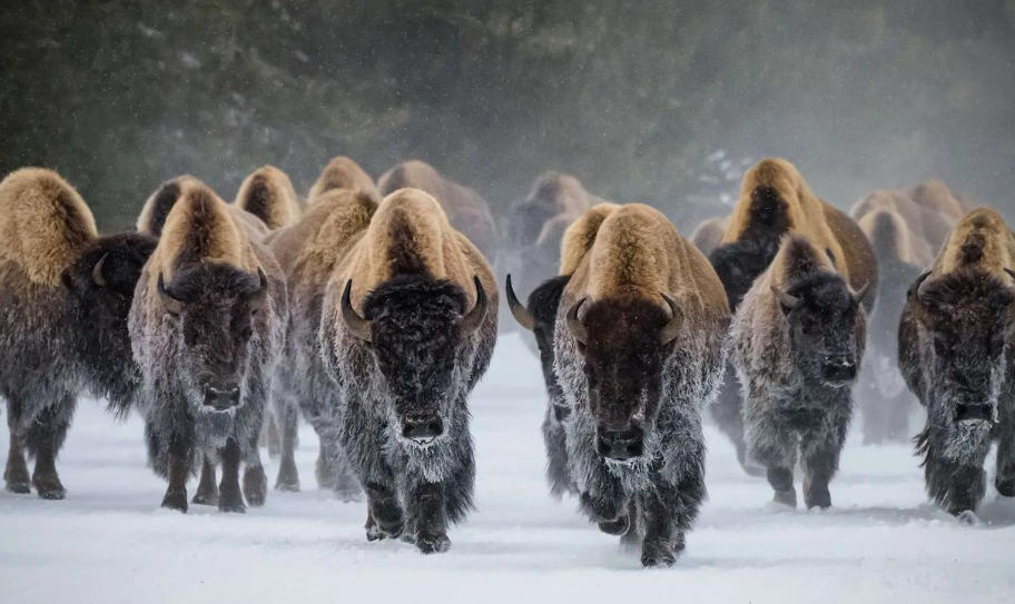 上海展翼装饰工程有限公司轮播图1