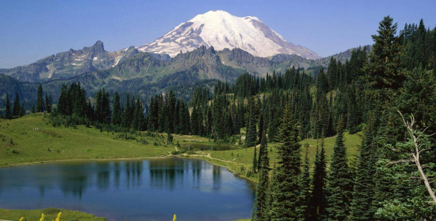 上海展翼装饰工程有限公司轮播图3